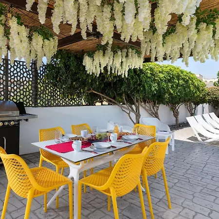 فيلة Niovis Pastida